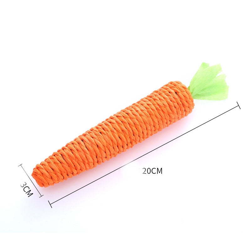 Brinquedo para pet com formato de Cenoura